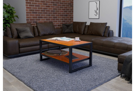 Stolik kawowy w stylu industrialnym Roma - dakar połysk